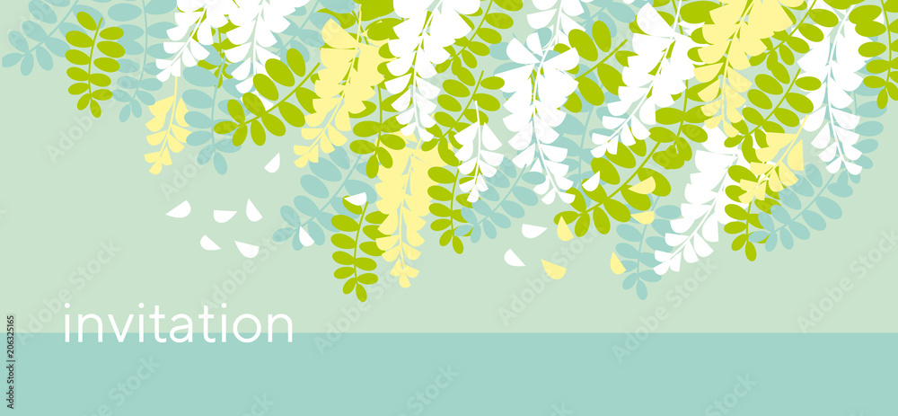 Acacia spring blossom flower design element. Acacia spring blossom flower design element.