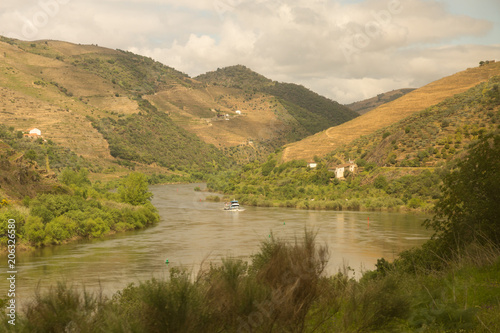 view of the Douro River with its vineyards and estates