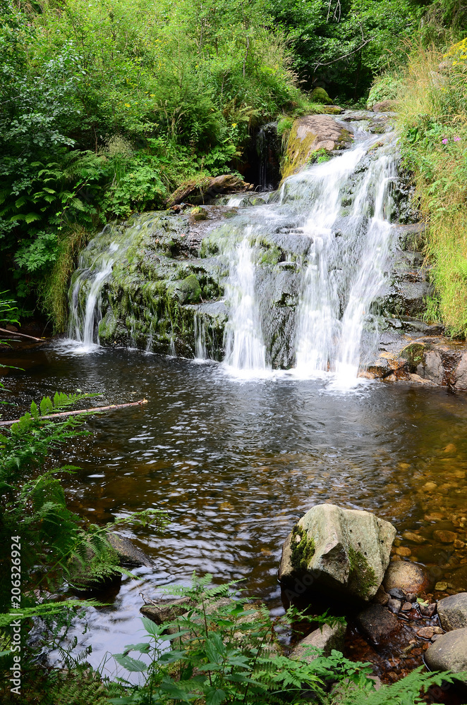 Menzenschwander Wasserfall im Schwarzwald