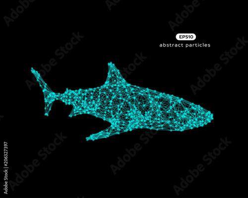 Vector abstract illustration of shark.