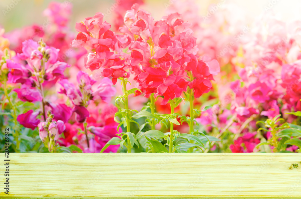 Empty top wooden on beautiful flower in colorful color soft focus for background Empty top wooden on beautiful flower in colorful color soft focus for background