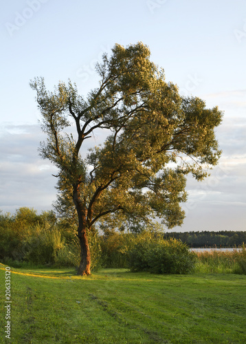 Landscape near Elk. Poland