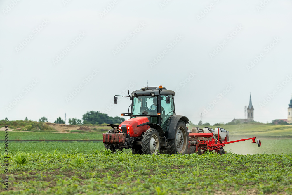 Farmer seeding, sowing crops at field. Sowing is the process of planting seeds in the ground as part of the early spring time agricultural activities. Farmer seeding, sowing crops at field. Sowing is the process of planting seeds in the ground as part of the early spring time agricultural activities.
