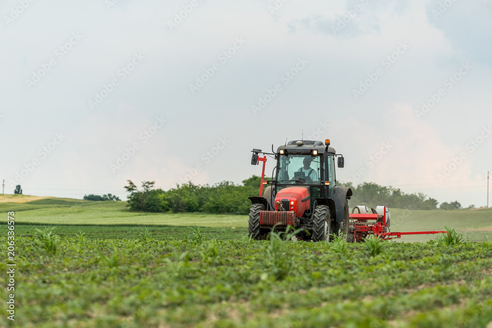 Farmer seeding, sowing crops at field. Sowing is the process of planting seeds in the ground as part of the early spring time agricultural activities. Farmer seeding, sowing crops at field. Sowing is the process of planting seeds in the ground as part of the early spring time agricultural activities.