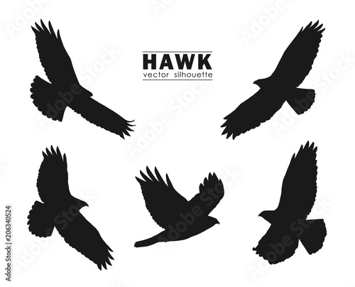 Valokuvatapetti Vector illustration: Set of Silhouettes of flying Hawk isolated on white background