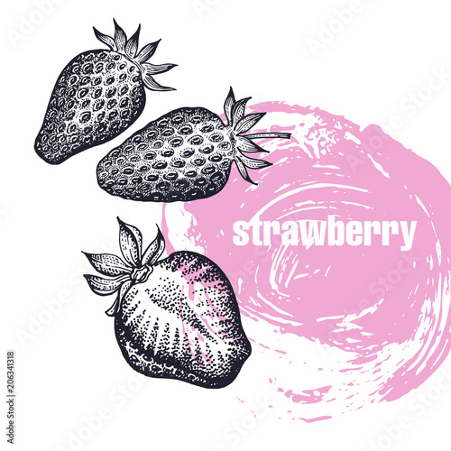 Realistic illustration of strawberry isolated on white background.