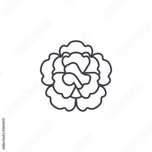 Floral carnation line icon, vector illustration. Floral carnation flat concept sign.