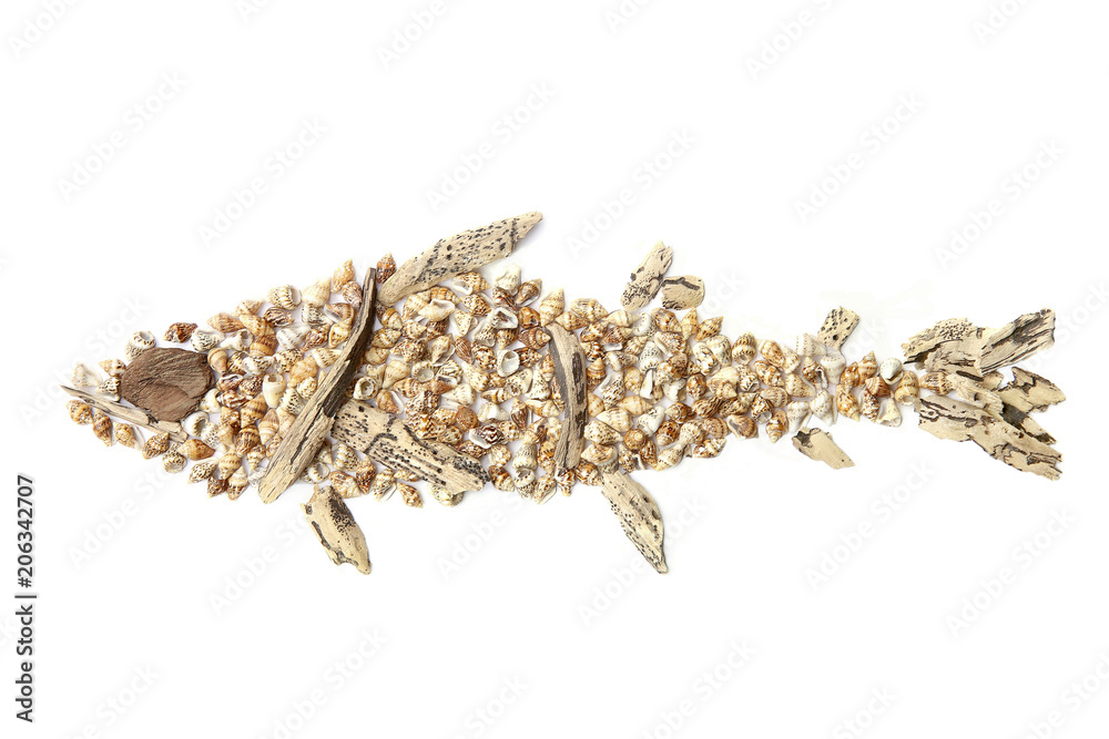 Fish image created of sea shells and driftwood isolated on white background. Stylized fish shape made of various natural things. Fish image created of sea shells and driftwood isolated on white background. Stylized fish shape made of various natural things.