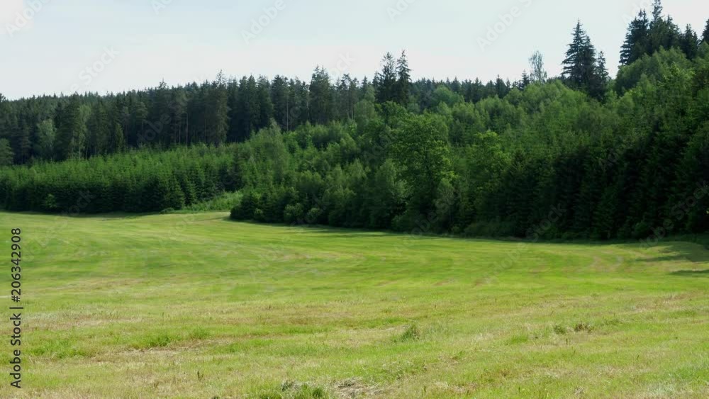 Beautiful green meadow with freshly cut grass in the background of a forest. Beautiful green meadow with freshly cut grass in the background of a forest.