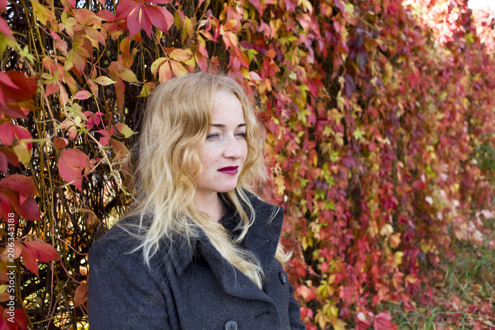 The shy young blond is standing near fence from colorful leaves in park