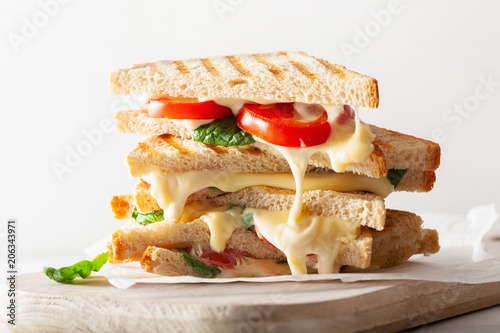 grilled cheese and tomato sandwich on white background