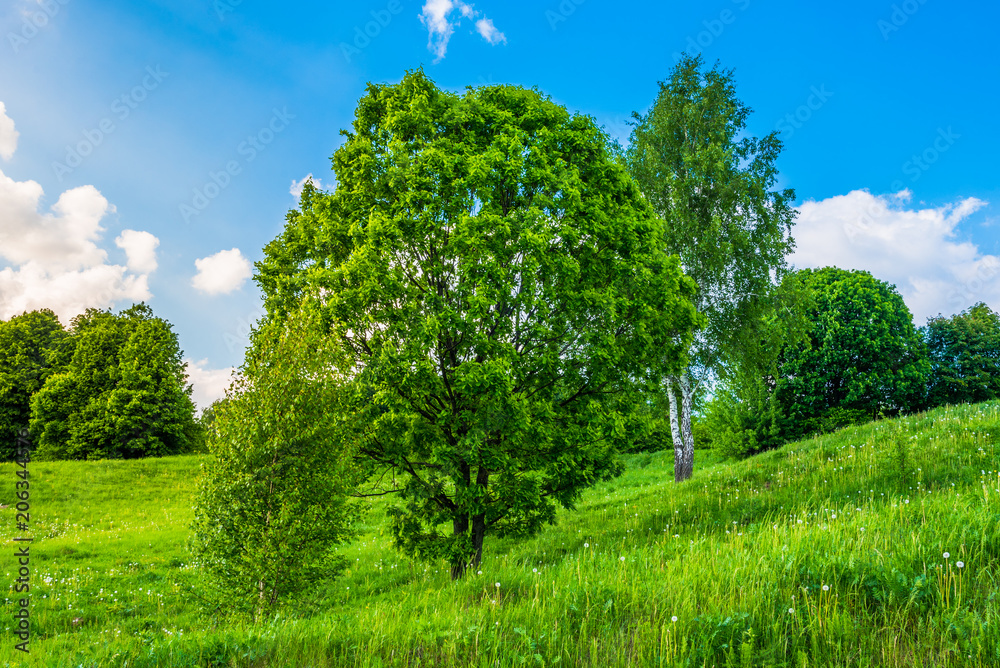 Beautiful summer countryside with hills, trees and sky with clouds Beautiful summer countryside with hills, trees and sky with clouds