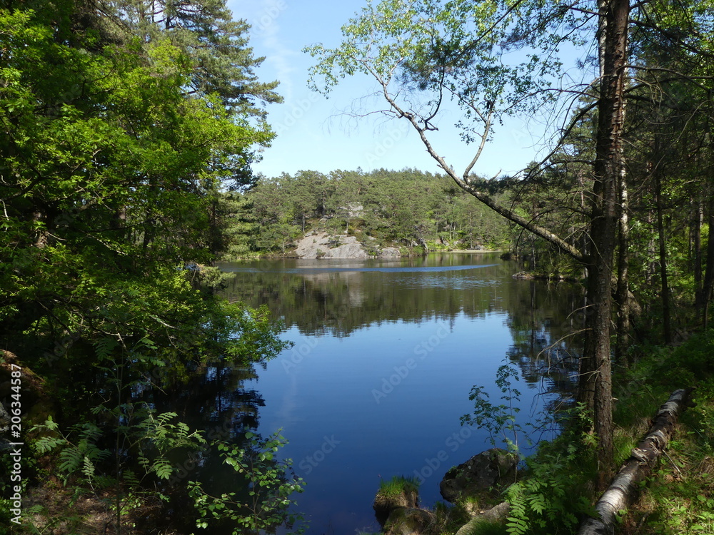 Fototapeta premium Norvège