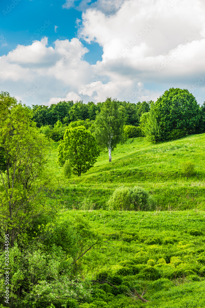 Beautiful summer countryside with hills, trees and sky with clouds