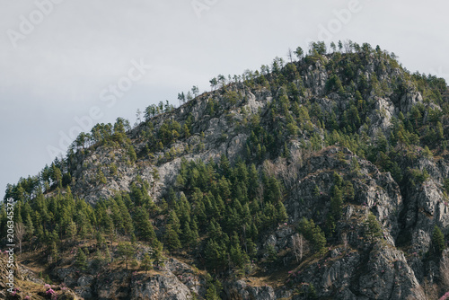 Beautiful rocky green mountain with greenery. Natural textured background with rock and sky.