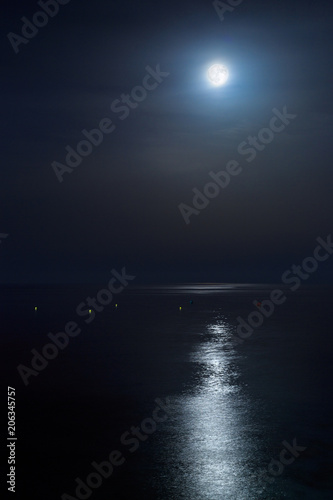 Full moon of August over a calm sea. Portrait orientation Fine Art
