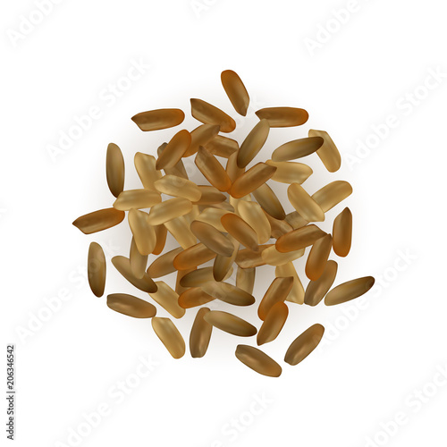 Realistic Vector Rice Isolated photo