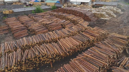 Aerial view of stacked log long cut trees 4k photo