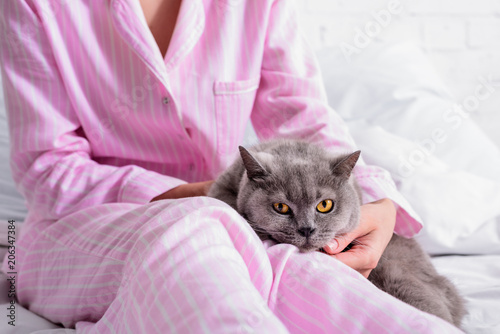 cropped shot of woman with britain shorthair cat on bed at home