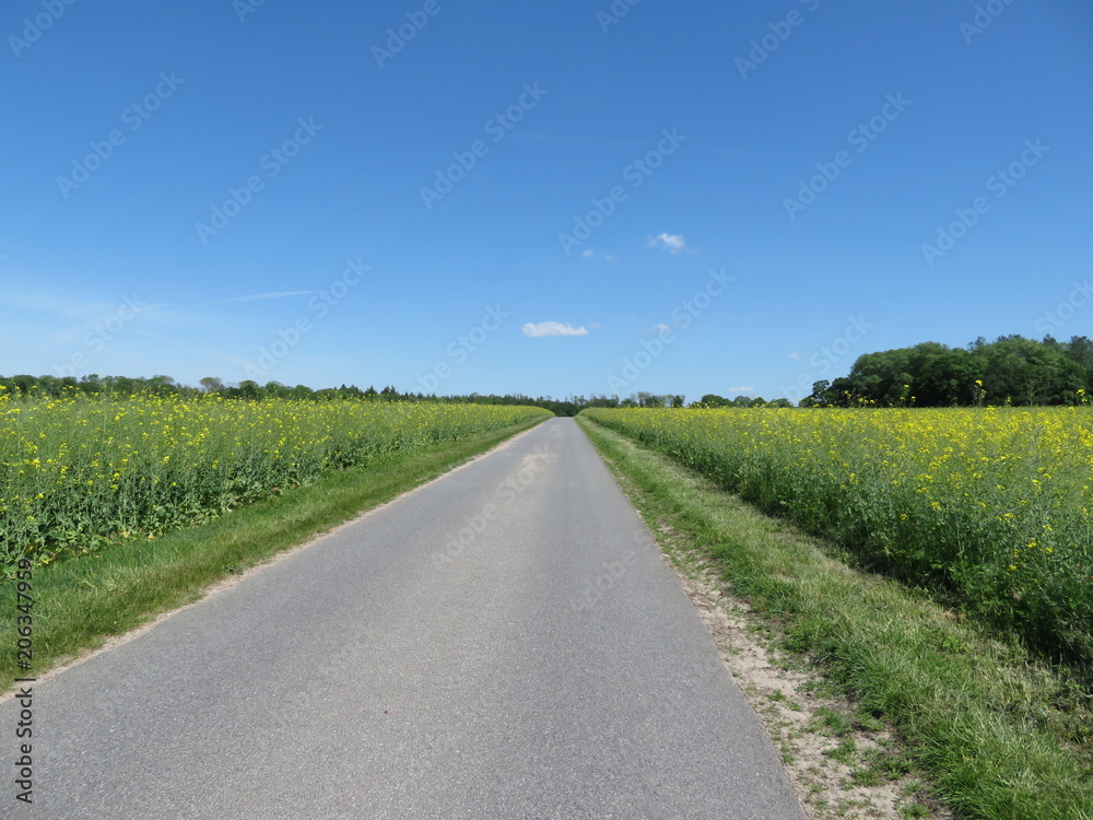 Road Road