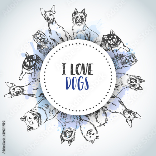 Background with Hand drawn dogs breeds. Sketch of dog. Poster with I love Dog text French bulldog, dachshund, Husky, Yorkshire Terrier