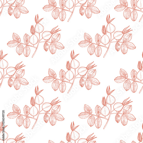 Rose Hip Pattern in Hand Drawn Style