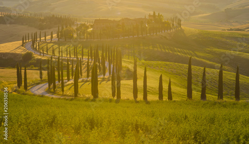  Tuscany landscape  Italy