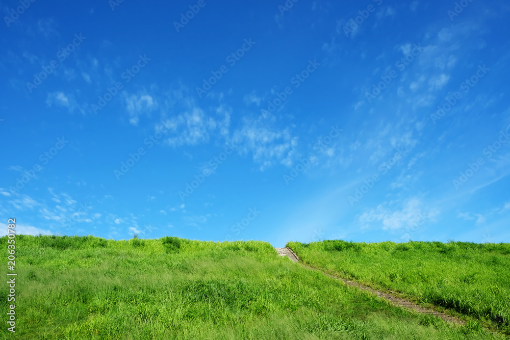 Green grassland has stairs up. There is a blue sky as the background.