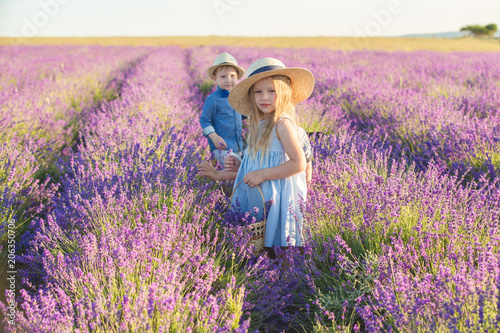 Three happy children in lavender field