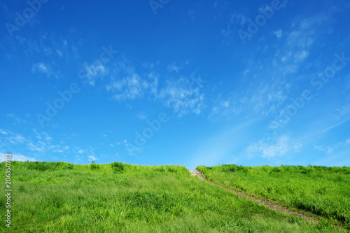 Green grassland has stairs up. There is a blue sky as the background.