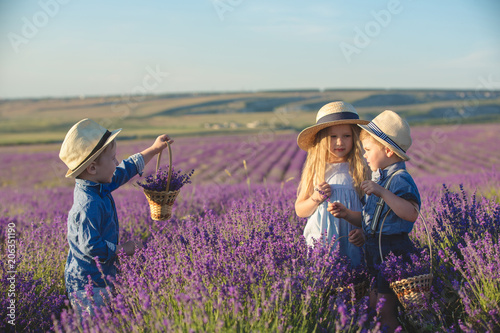 Three happy children in lavender field