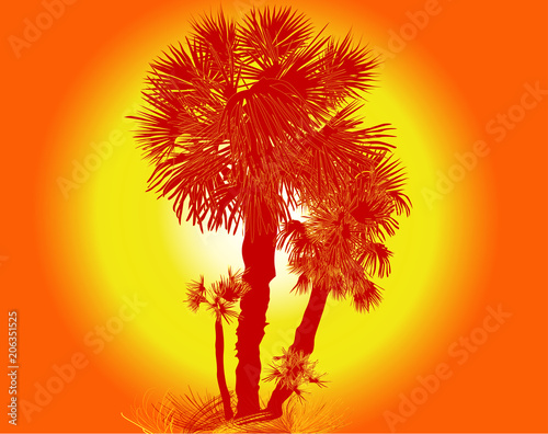 palm trees on orange background illustration