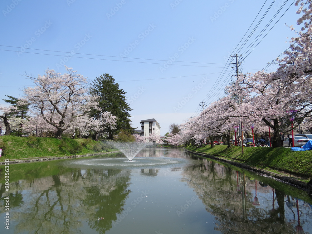 春の新庄城跡の風景