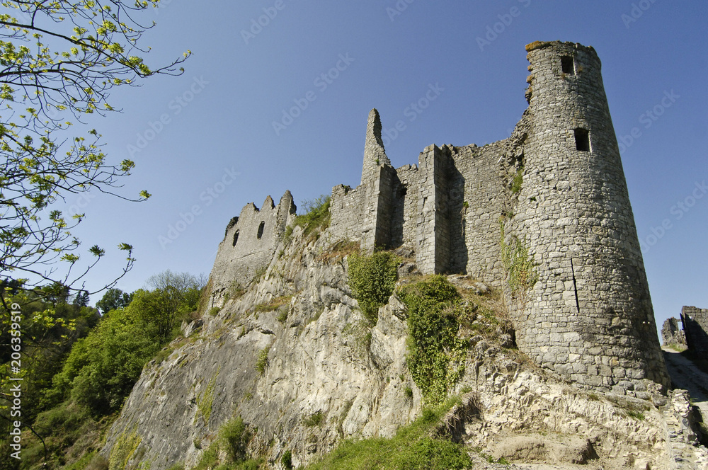 Ruines Montaigle chateau fort Belgique
