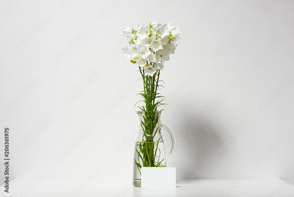 bellflower in a vase on a table by the wall and blank sheet for text, white background