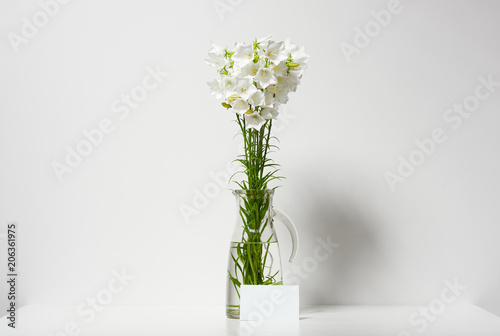 bellflower in a vase on a table by the wall and blank sheet for text  white background