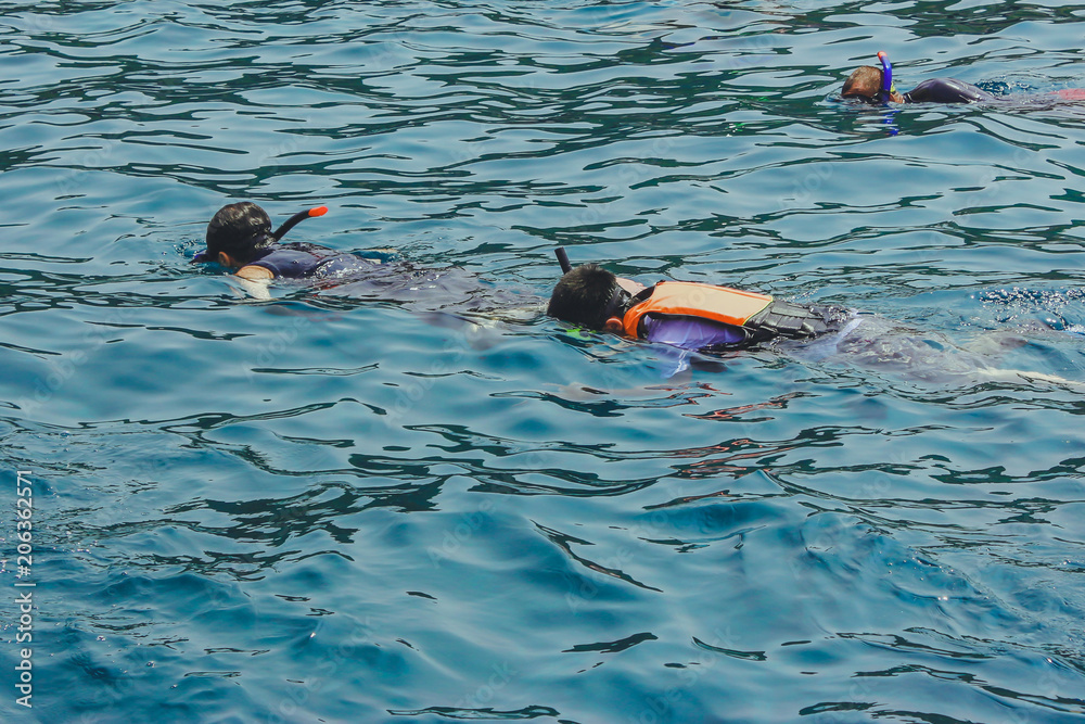 Happiness Tourists  snorkel at Similan Island Phang-Nga,Thailand