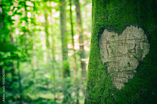 Heart Tree Shape