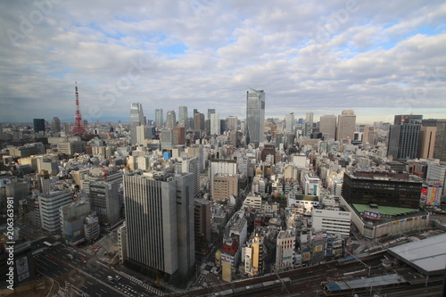 Cloudy Tokyo seen from a skyscraper/広角レンズを使用し高層ビルから撮影したくもりの東京