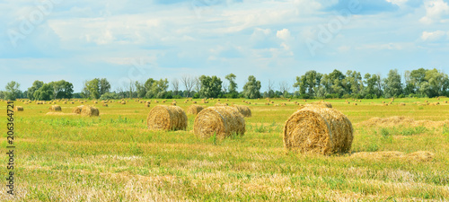 Landscape with a haystacks.