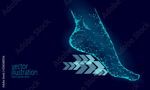 Shoes technology science fitness flexibility. Human woman fitness foot sole fast run arrows. Low poly futuristic polygonal sport footwear design. Vector illustration blue