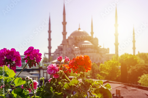 Photography View of the Blue Mosque (Sultanahmet) from the roof of the building in Istanbul