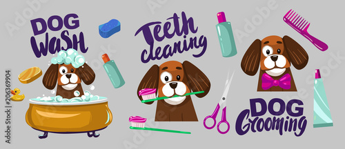 Dog grooming. Set of vector cartoon objects.