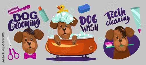 Dog grooming. Set of vector cartoon objects.