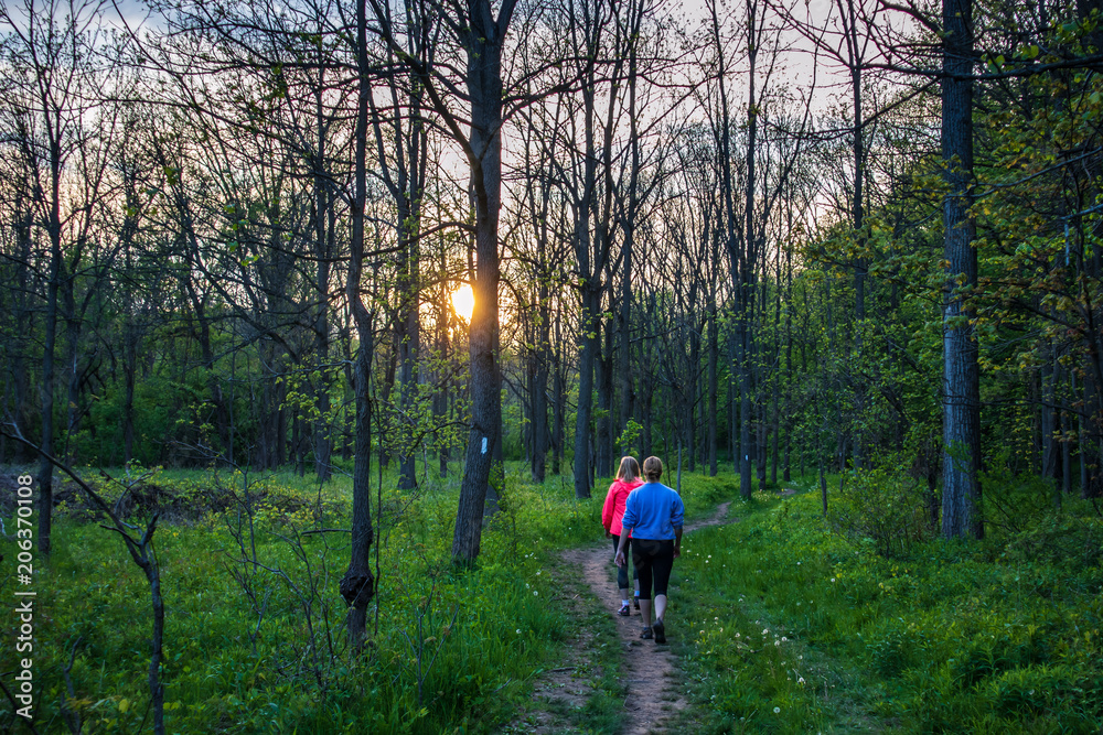 Evening Hike