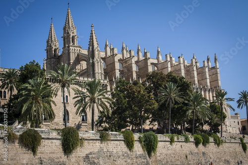 catedral de mallorca espa  a