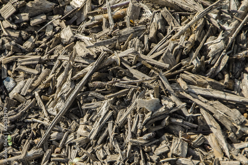 Texture of the lawn covering, rough background of small branches and wood chips close-up