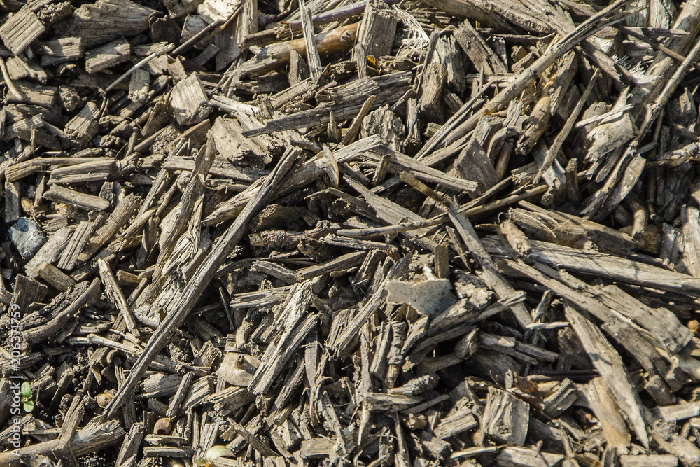Texture of the lawn covering, rough background of small branches and wood chips close-up Texture of the lawn covering, rough background of small branches and wood chips close-up