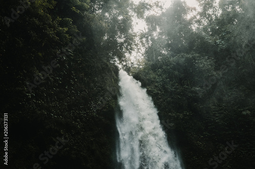 Nungnung waterfall in the bali island, indonesia. Amazing wild life. Travel photography.