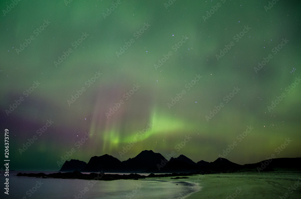 Aurores boréales aux Lofoten, Norvège